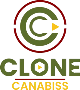Clone-Canabiss-Dispensary