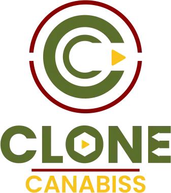 Clone-Canabiss-Dispensary